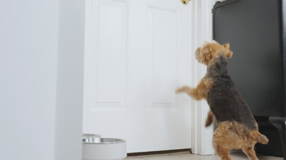 Scratch Patch Door Protector – 34.5 x 5.5 Inches, 2 Patches